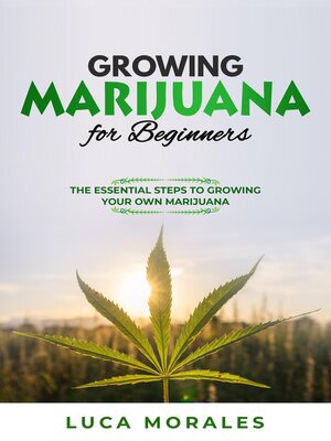 cover image of Growing Marijuana for Beginners